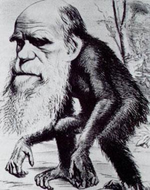 Charles Darwin caricatura